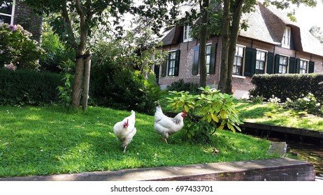 Image: Een Kijkje op de Populaire Chicken Road Gokspelen in Nederland