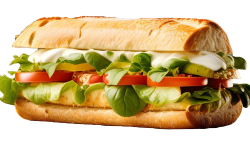 sandwich-with-lot-vegetables-it